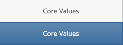 Core Values